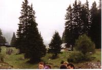 oldi0069.JPG