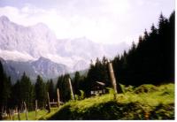 oldi0096.JPG