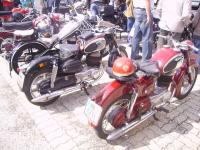 weisses0095.JPG