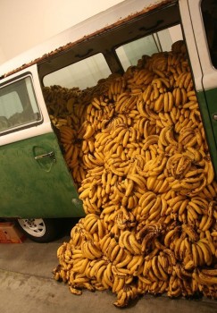 Bananen Bus