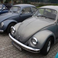 VW Käfertreffen Eggenburg 4