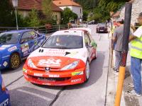 peugeot-206-wrc-wolf.jpg