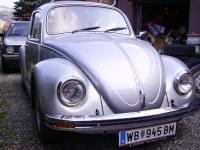 silver-bug-1.jpg
