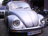 silver-bug-2.jpg