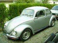 silver-bug-3.jpg