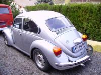 silver-bug.jpg