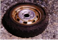 goldi0029.JPG