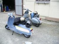 hallien0049.JPG