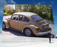 1303-bild.jpg