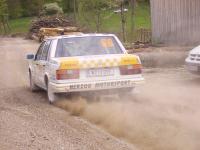 triestingtalrallye-09-121.JPG