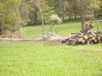 triestingtalrallye-09-88.JPG