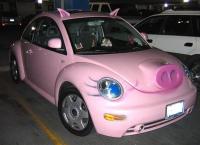 schweine-beetle.jpg