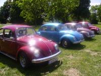 kafertreffen-laxenburg108.JPG
