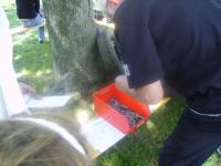 kafertreffen-laxenburg112.JPG