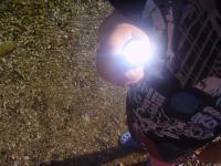 led-lenser-taschenlampe0017.JPG