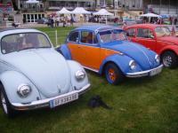 oldtimertreffen-youngtimertreffen-freudenau4.JPG