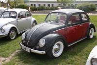 vw-kafertreffen-marchfeld121.JPG