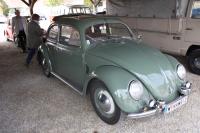 vw-kafertreffen-marchfeld125.JPG