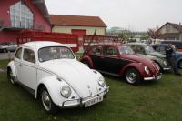 vw-kafertreffen-marchfeld33.JPG