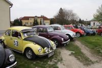 vw-kafertreffen-marchfeld49.JPG