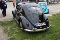 vw-kafertreffen-marchfeld5.JPG