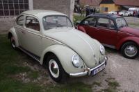 vw-kafertreffen-marchfeld58.JPG