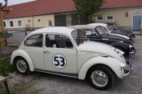 vw-kafertreffen-marchfeld63.JPG