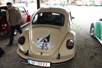 vw-kafertreffen-marchfeld72.JPG