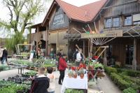 vw-kafertreffen-marchfeld93.JPG