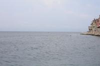 vw-kafertreffen-rovinj-kroatien202.JPG