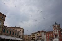 vw-kafertreffen-rovinj-kroatien225.JPG