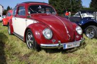 vw-kafertreffen-lassnitzhohe-10-114.JPG