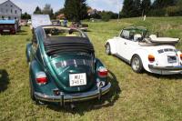 vw-kafertreffen-lassnitzhohe-10-149.JPG