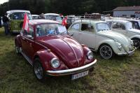 vw-kafertreffen-lassnitzhohe-10-33.JPG