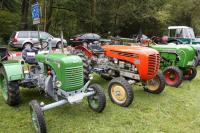 oldtimer-treffen-kirchau3.JPG