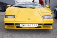 vw-buggytreffen-40-jahre-ledl-tuning-102.JPG