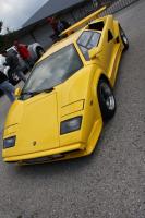 vw-buggytreffen-40-jahre-ledl-tuning-103.JPG