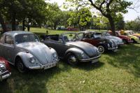 vw-kafertreffen-laxenburg-2011-27.JPG