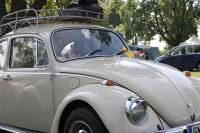 vw-kafertreffen-laxenburg-2011-64.JPG