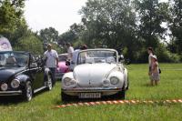 vw-kafertreffen-laxenburg-2011-66.JPG