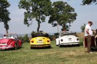 vw-kafertreffen-laxenburg-2011-71.JPG