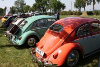 vw-kafertreffen-laxenburg-2011-8.JPG