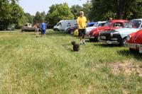 vw-kafertreffen-laxenburg-2011-90.JPG