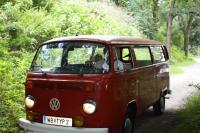 vw-bus-gelande-5.JPG