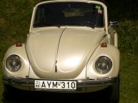 oldtimertreffen-zobern-08-61.JPG