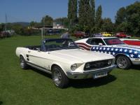 us-car-treffen-neunkirchen-43.JPG