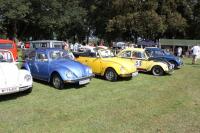 vw-kafertreffen-furstenfeld-166.JPG
