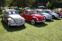 vw-kafertreffen-furstenfeld-197.JPG