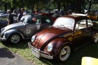 vw-kafertreffen-furstenfeld-22.JPG