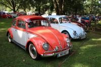 vw-kafertreffen-furstenfeld-70.JPG